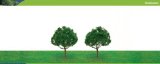 Hornby Hobbies Ltd Hornby R8905 Oak 63mm Pk 2 00 Gauge Skale Scenics Professional Trees