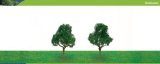 Hornby Hobbies Ltd Hornby R8914 Deciduous 100mm Pk 2 00 Gauge Skale Scenics Professional Trees