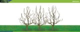 Hornby Hobbies Ltd Hornby R8940 Deciduous 100mm Pk 3 00 Gauge Skale Scenics Tree Armatures