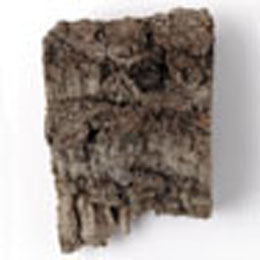 Medium Cork Bark