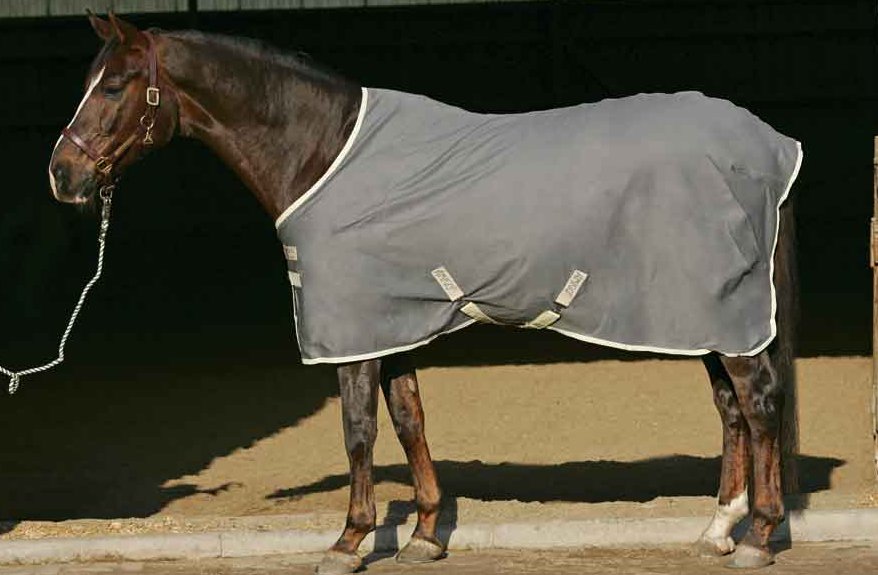 horseware - amigo - Horseware Amigo Summer Turnout (Clearance)