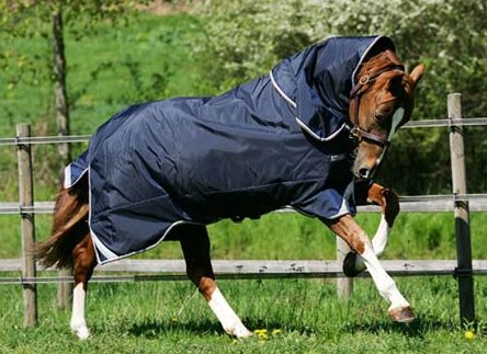 HORSEWARE - RAMBO Horseware Rambo Duo - 6`3