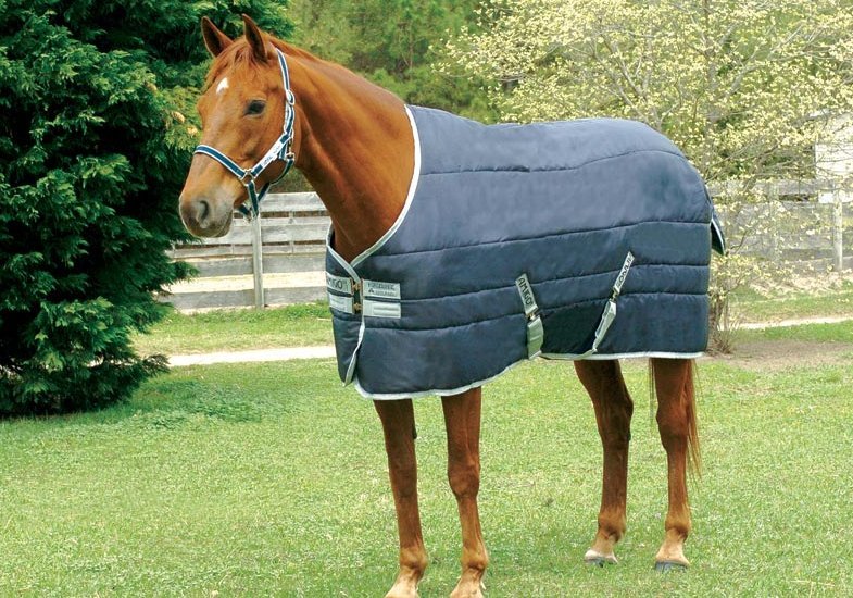 horseware amigo Amigo Insulator Heavy - 5`6 - Navy/Navy and White