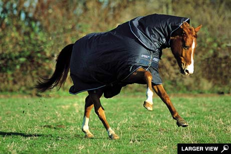 horseware amigo Amigo Turnout Medium w/la reflec - 6`0`` -