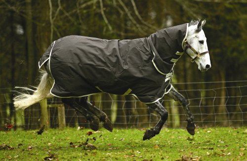 horseware amigo Plus Medium