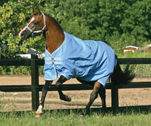 Amigo Summer Turnout Azure Blue/Baby