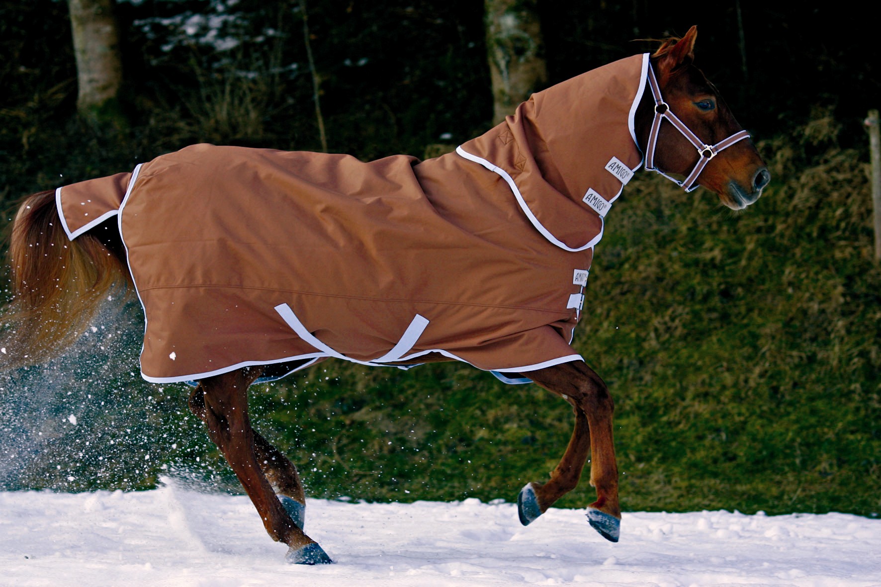 horseware amigo Turnout Medium Clearance