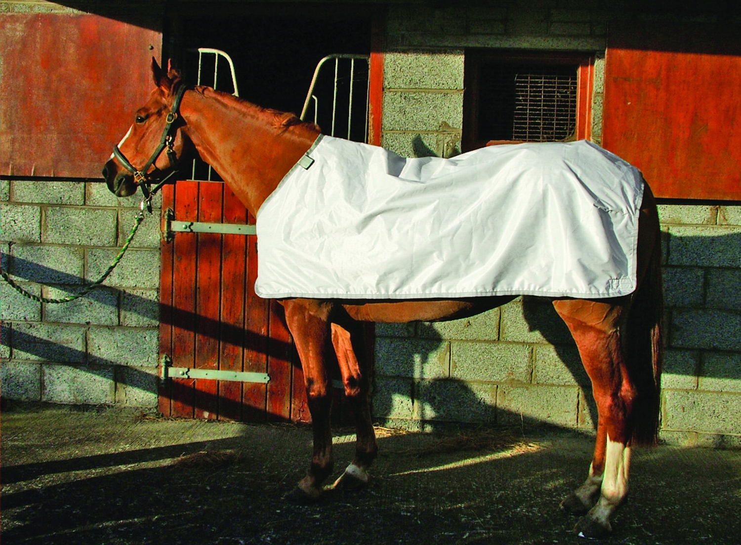 Fly Rug Liner (White) - 5`9