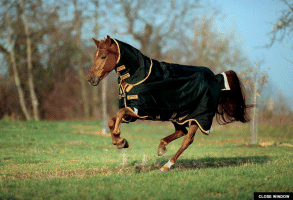 Rambo Supreme Turnout Horse Rug - Heavy