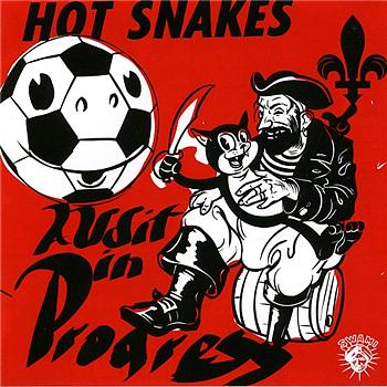 Hot Snakes Audit In Progress