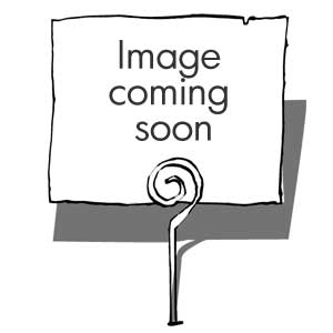 HP G6-1309EA G6-1309EA