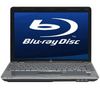 HP Pavilion dv5-1110EM