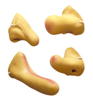 Human Nose, Assorted