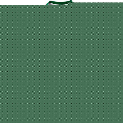 Hungary Nike 2011-12 Ferencvaros Nike Home Football Shirt