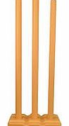 Flik Cricket Stumps & Base