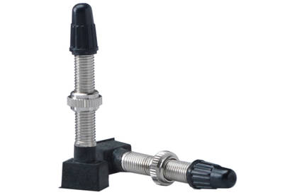 Tubeless Valves