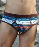 Ian Thorpe Seychelles Brief