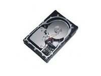 IBM 146GB SCSI HARD DRIVE