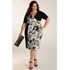 Danni Plus Size Dress In