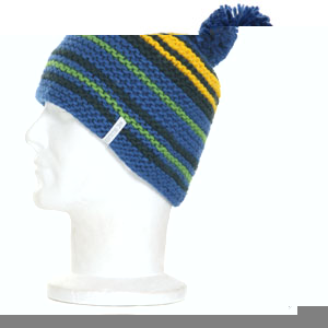 4 Tune Bobble beanie