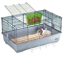 Cavia Easy 120