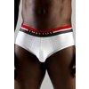 Impetus basic 589 brief