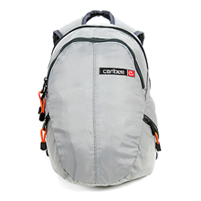 Daypack (chrome)