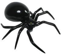 Halloween Spider