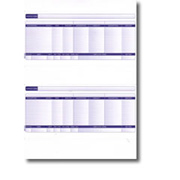 1 Part Laser Payslip (2 per sheet)