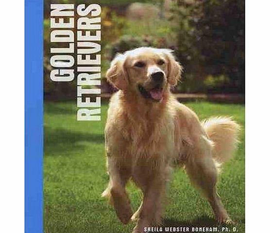 Interpet Golden Retrievers