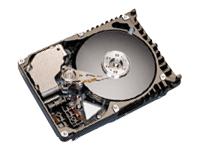 Maxtor Atlas 10K III - Hard drive - 73.4 GB - hot-swap - 3.5" - SCSI Ultra320 - 10000 rpm - 8