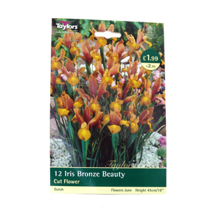 Iris Bronze Beauty Bulbs