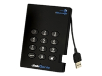 ISTORAGE DISK-GENIE 256 BIT 250GB PORTABLE HARD