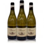 italyabroad Frascati Organic - Case of 12