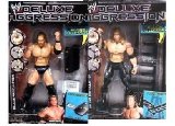 Jakks WWE Deluxe Aggression 17 Zack Ryder & Kurt Hawkins WRESTLING FIGURE