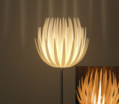 Janne Kyttanen Lotus Light