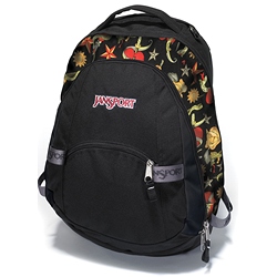 JanSport Trinity backpack   FREE JanSport Media Player arm band