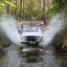 Jeep Safari from Side - Adult