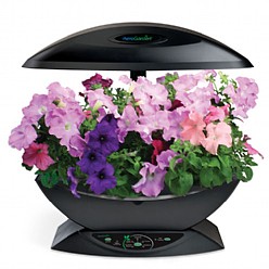 Aerogarden