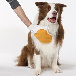 Pet Mitt