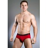 Winter Resort Retro Brief 160478H