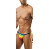 Joe Snyder Rainbow Shining Capri 07 Brief