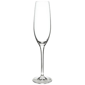 Vino Champagne Flutes, Box of 4