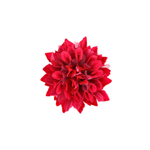 Johnny Loves Rosie Pink Dahlia Salon