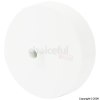 Ceiling Rose