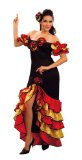 Spanish Flamenco Dancer