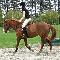 Junior Pony Day Junior Pony Riding Day