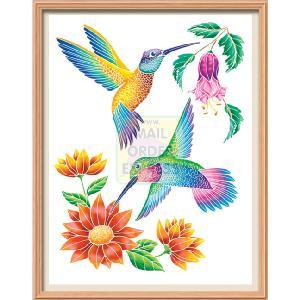 KSG Colour Flow Junior Humming Birds