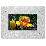 KODAK Digital Photo Frame FacePlate Frosted