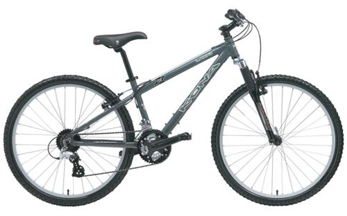 Lanai 2006 Mountain Bike
